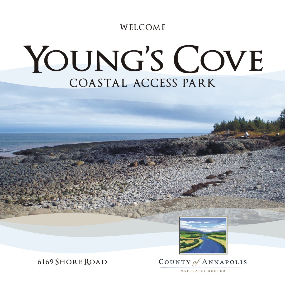 youngs cove 3x3