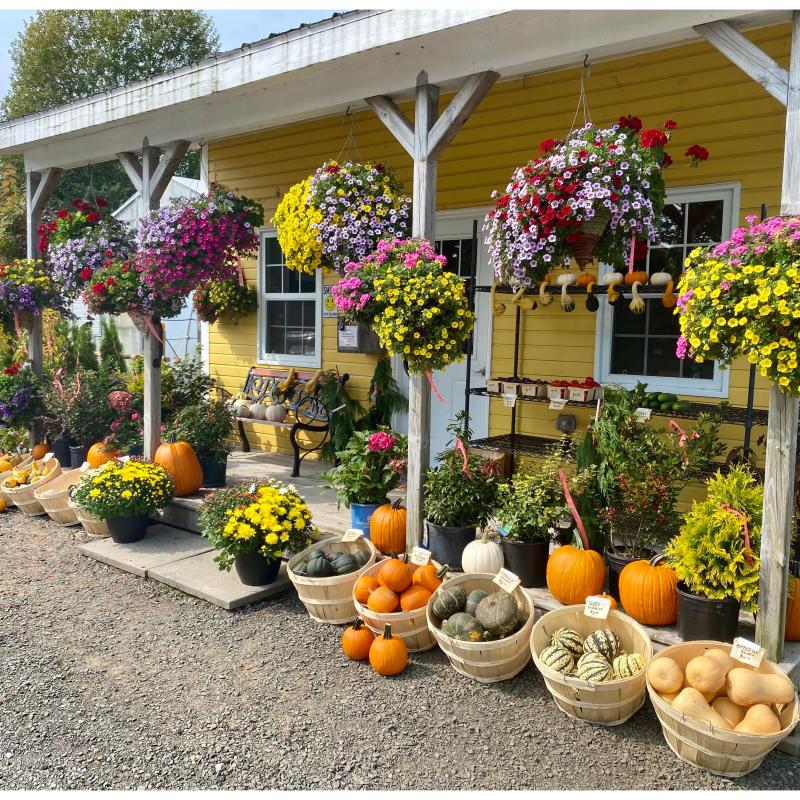 Neilys Greenhouse and Gardens