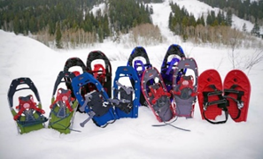 Snowshoes.jpeg