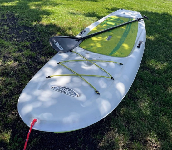 paddle.jpeg