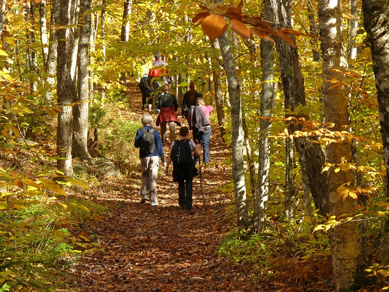 Fall colors hike Valleyview Park edited 1 Jenkins