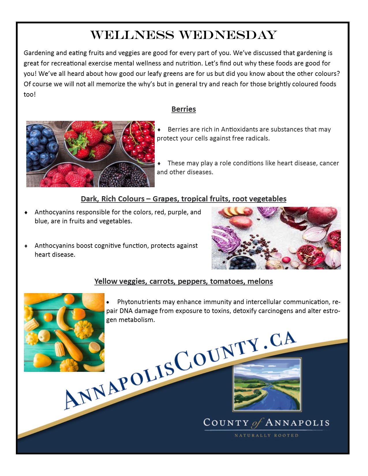 Wellness Wednesday July 22 Gardening and nutrition